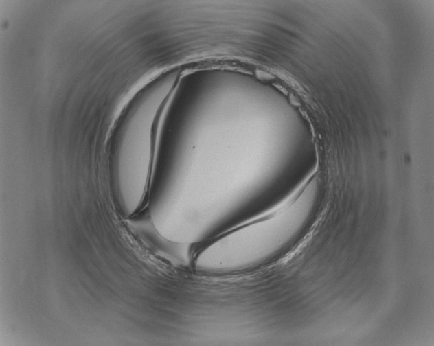 X0000072961118200608041146