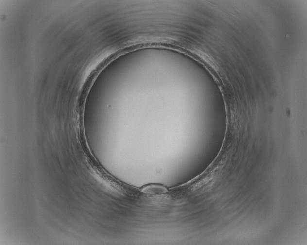 X0000072961119200608041146