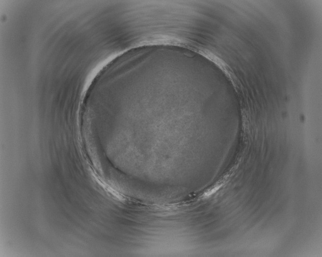 X0000072961120200608041146