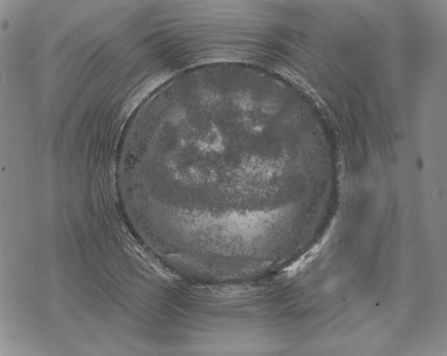 X0000072961121200608041146