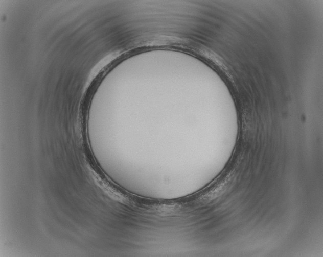 X0000072961122200608041146