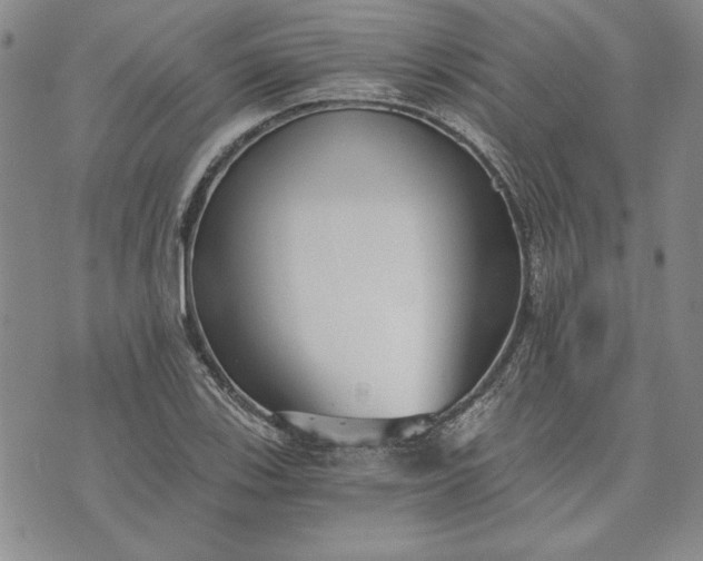 X0000072961123200608041146