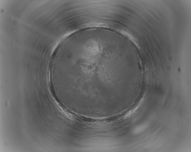 X0000072961125200608041146