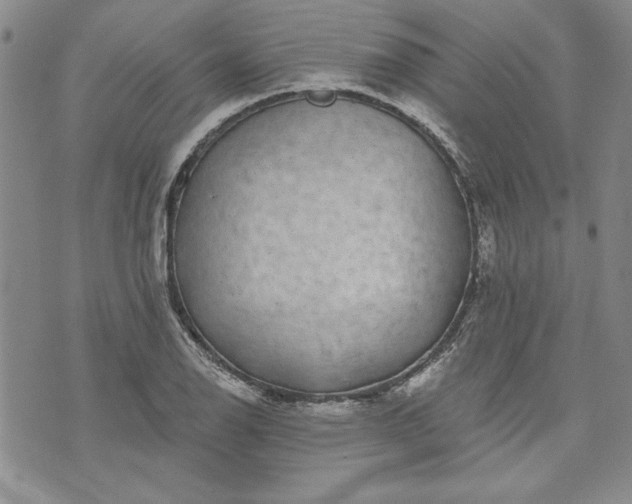 X0000072961126200608041146