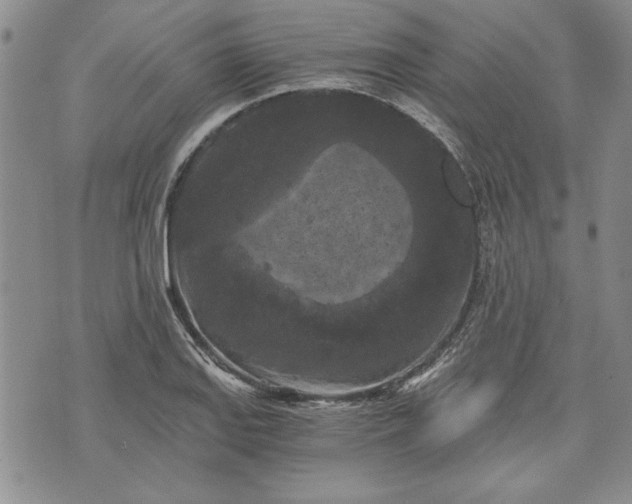 X0000072961127200608041146