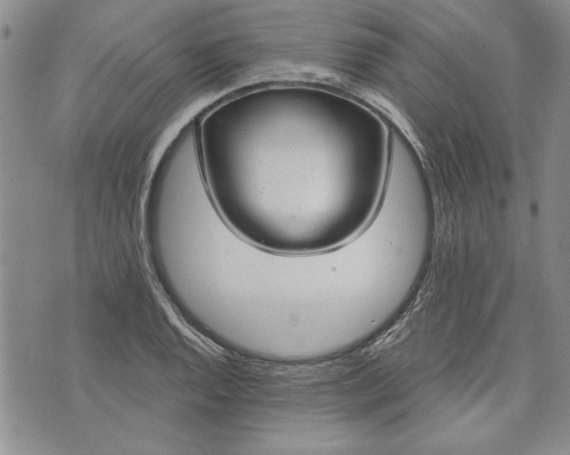 X0000072961128200608041146