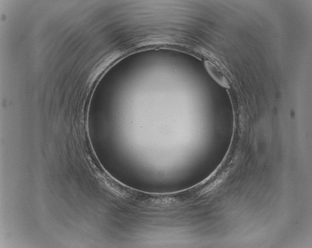 X0000072961129200608041146