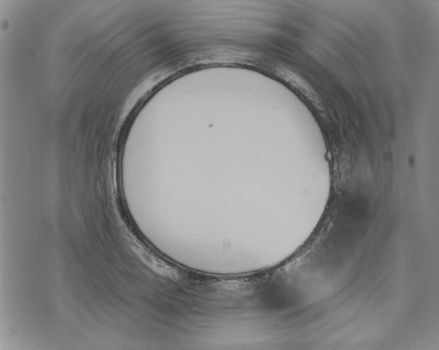 X0000072961130200608041146