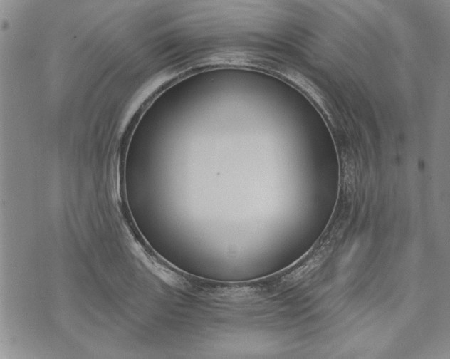 X0000072961131200608041146