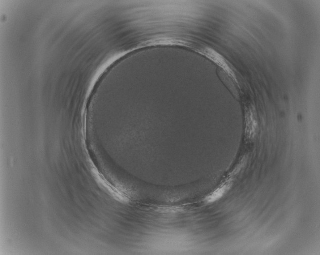 X0000072961132200608041146