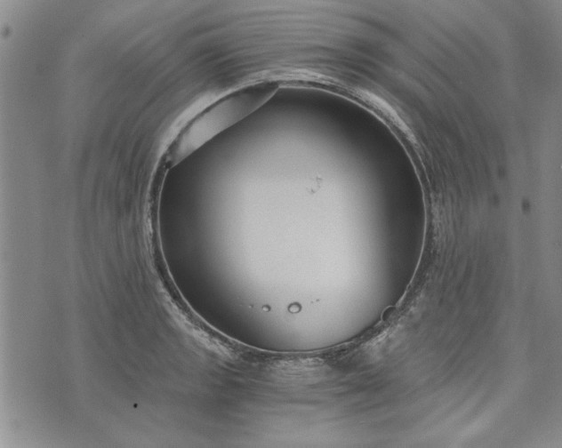 X0000072961133200608041146