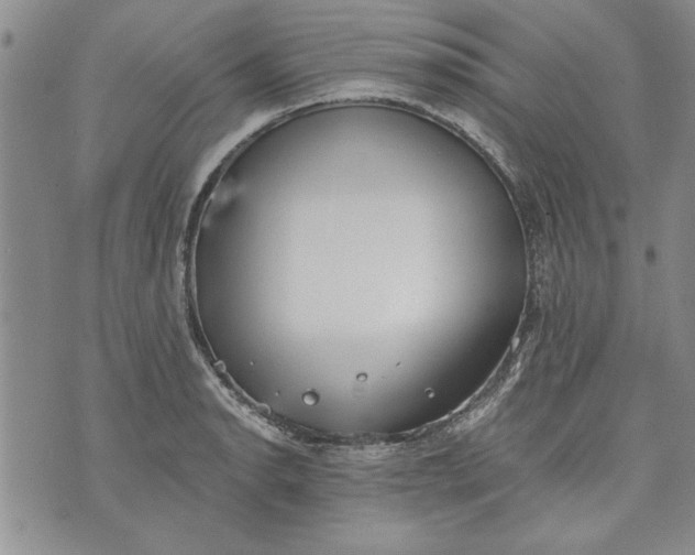 X0000072961134200608041146