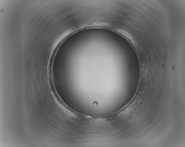 X0000072961135200608041146