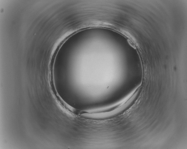 X0000072961136200608041146