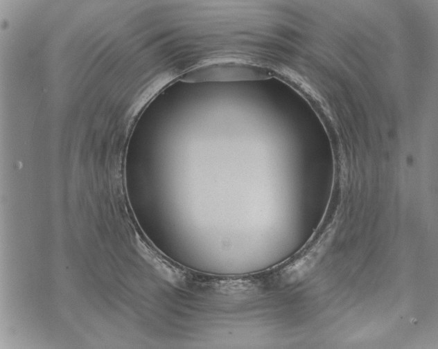 X0000072961137200608041146