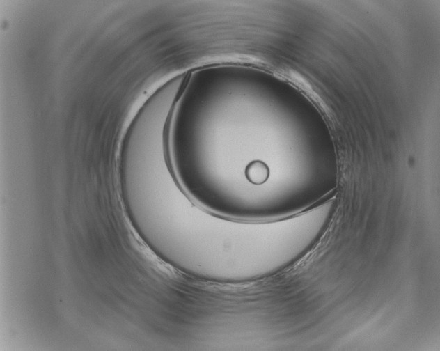 X0000072961140200608041146