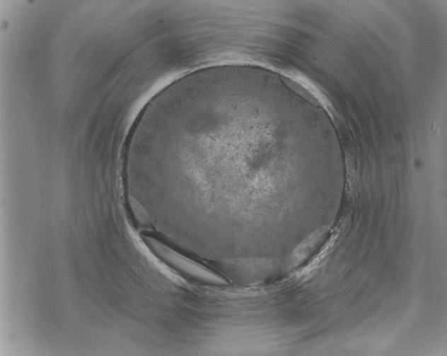 X0000072961142200608041146