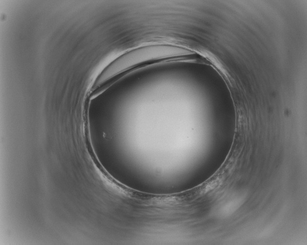 X0000072961143200608041146