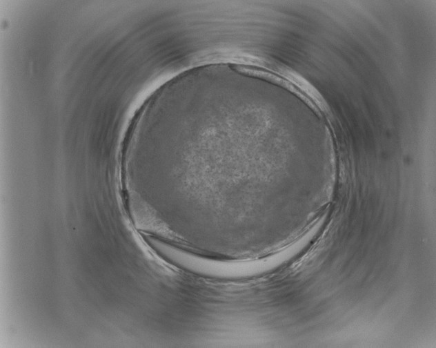 X0000072961144200608041146