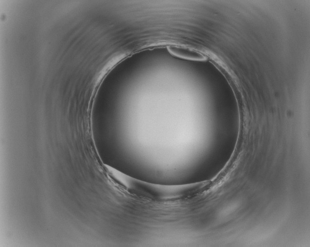 X0000072961145200608041146