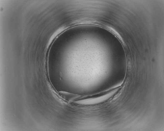 X0000072961146200608041146