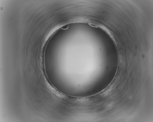 X0000072961147200608041146