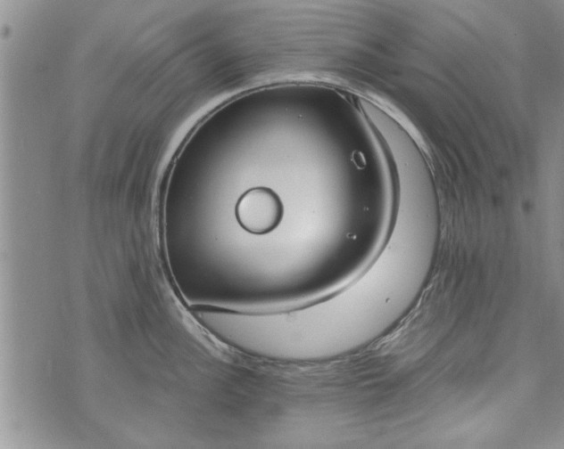 X0000072961148200608041146