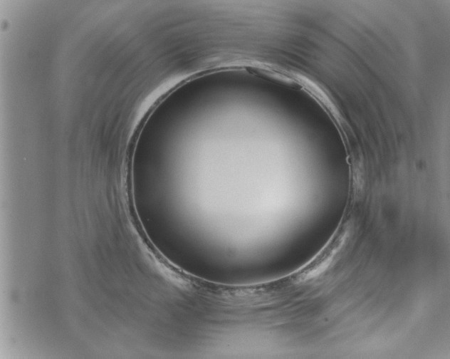 X0000072961149200608041146