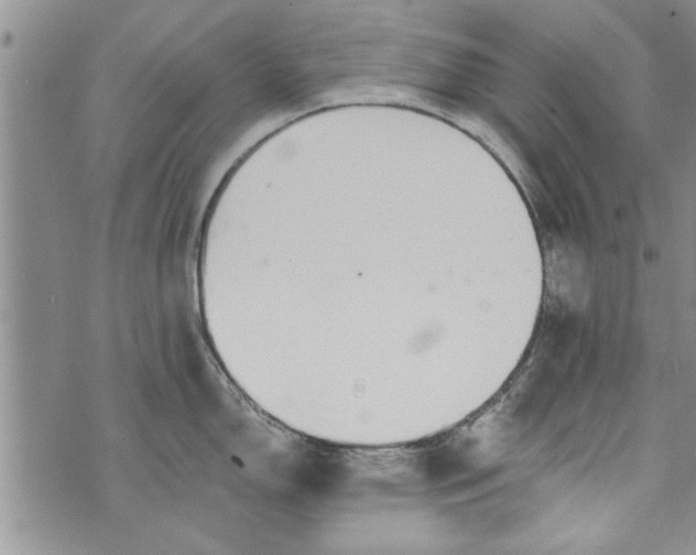 X0000072961150200608041146