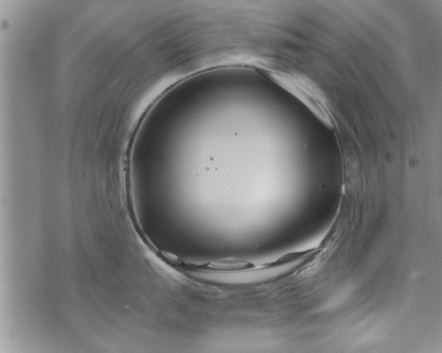 X0000072961151200608041146