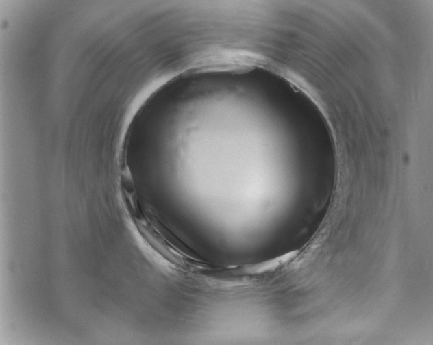 X0000072961152200608041146