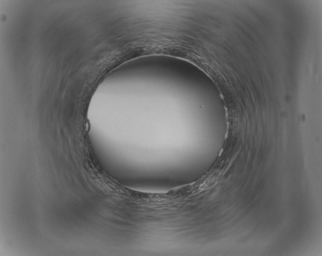 X0000072961153200608041145