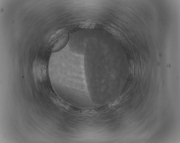 X0000072961154200608041145