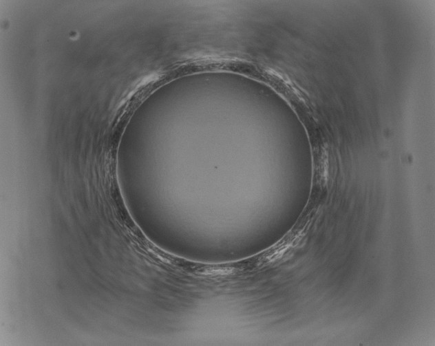 X0000072961157200608041145