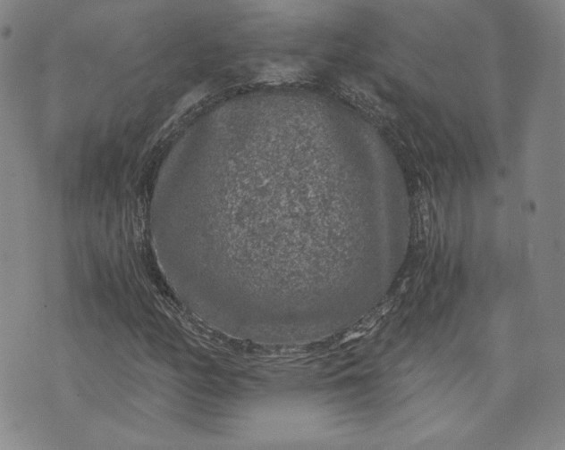 X0000072961158200608041145