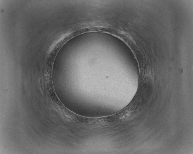 X0000072961159200608041145