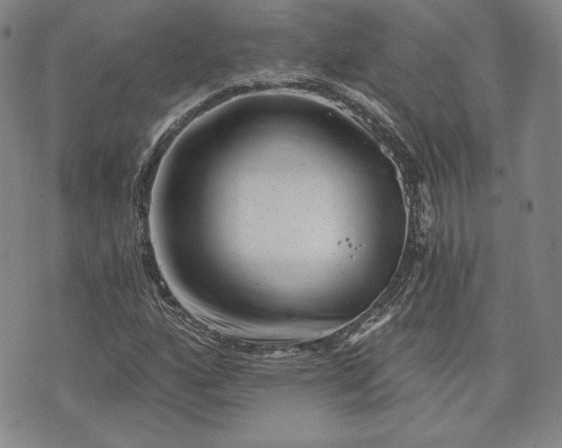 X0000072961160200608041145