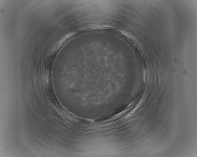 X0000072961161200608041145