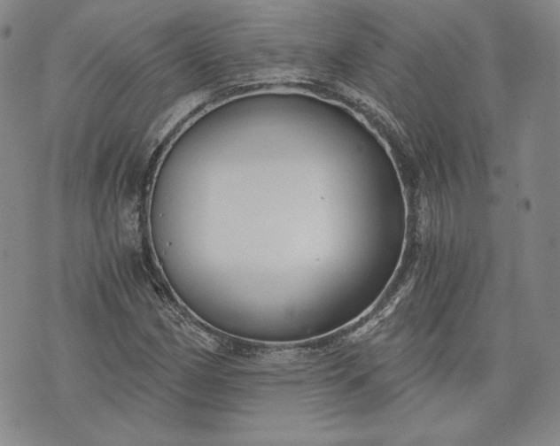 X0000072961162200608041145