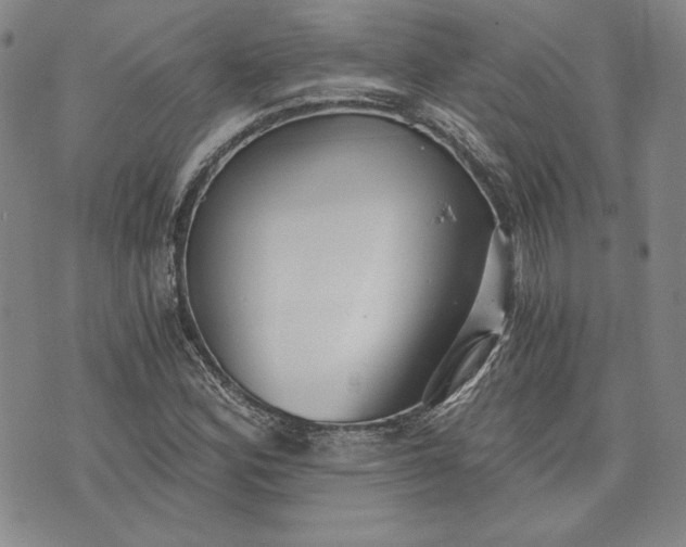 X0000072961164200608041145