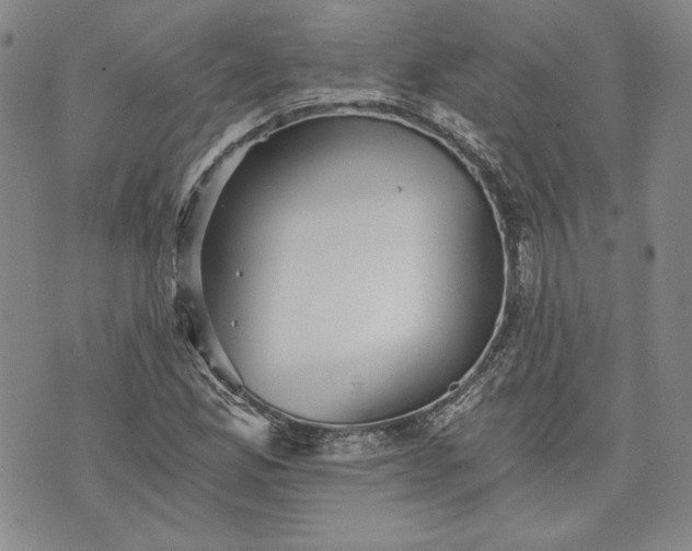 X0000072961165200608041145