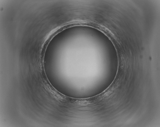 X0000072961168200608041145