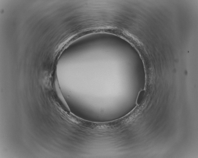 X0000072961169200608041145