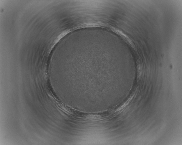 X0000072961170200608041145