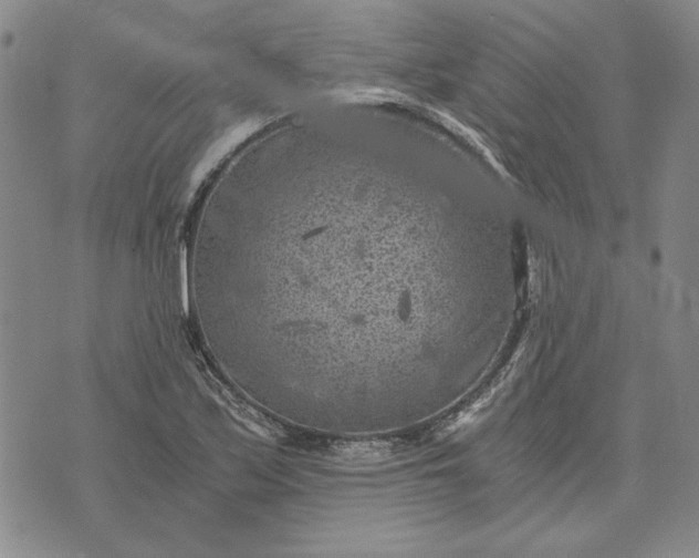 X0000072961171200608041145