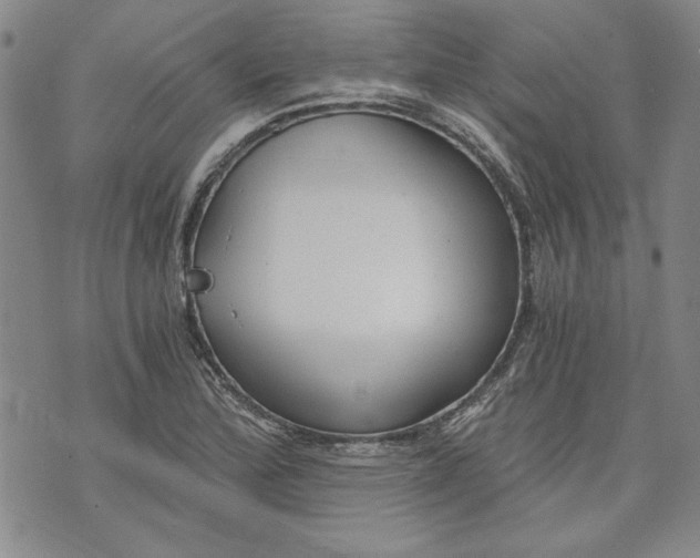 X0000072961172200608041145