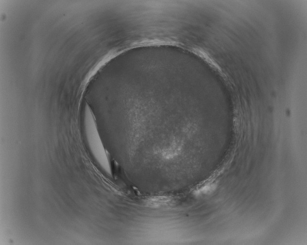 X0000072961173200608041145