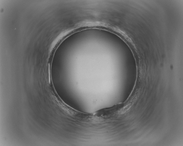 X0000072961175200608041145