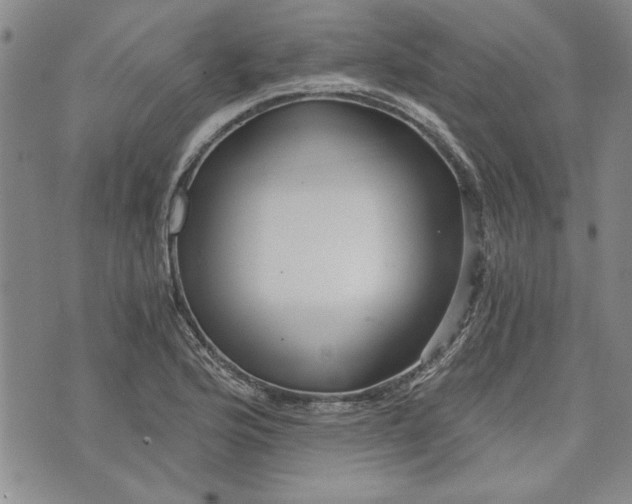 X0000072961176200608041145