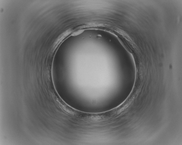 X0000072961177200608041145